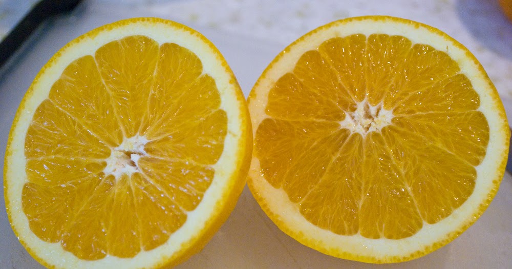 Recipes for a Quarterlife Fresh Squeezed Orange Popsicles