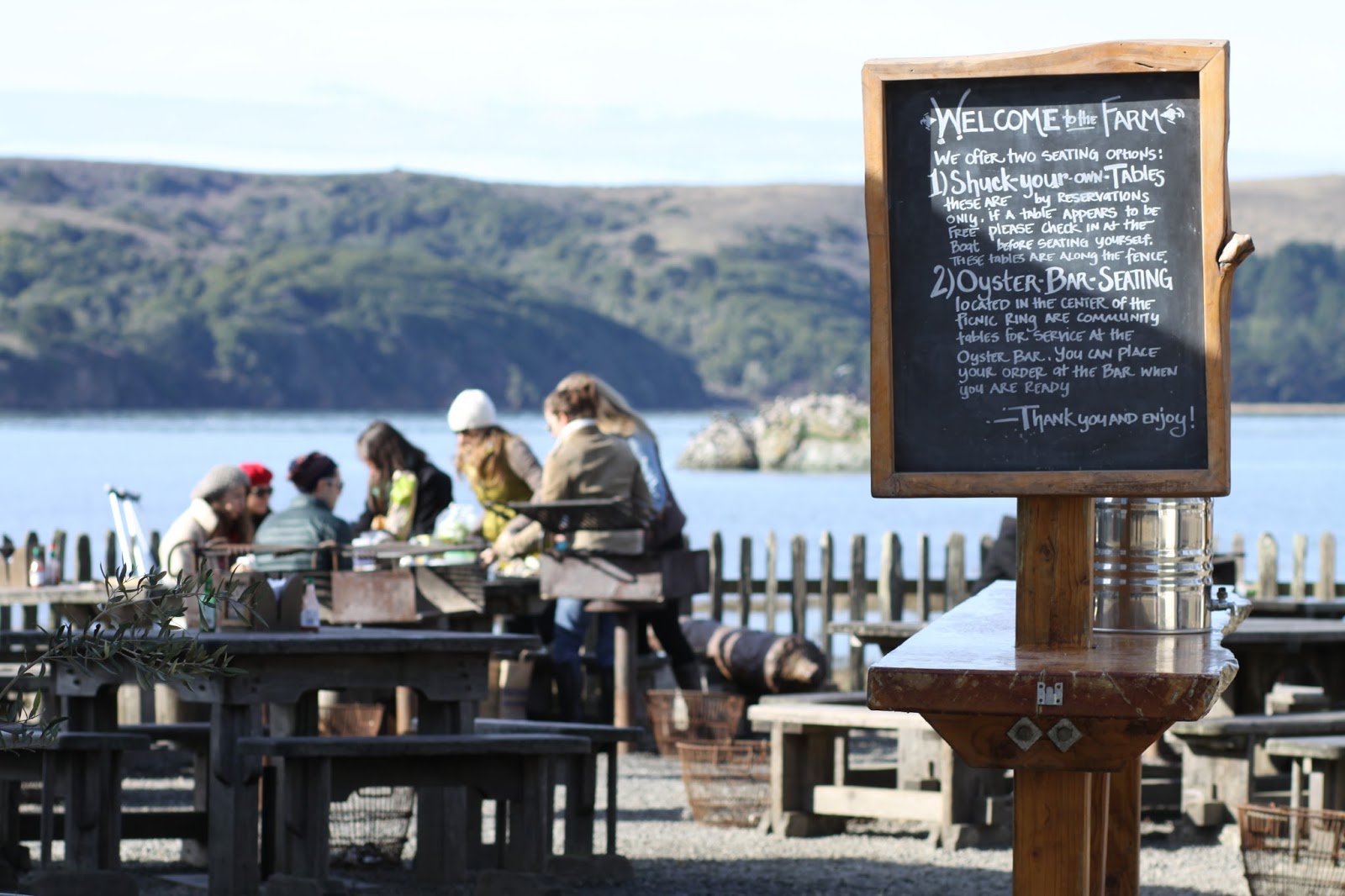 Salvation Sisters Visiting Tomales Bay, Hog Island Oyster Farm
