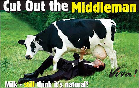 Are Calves Killed To Keep Them From Drinking The Milk Are Calves Killed To Keep Them From Drinking The Milk