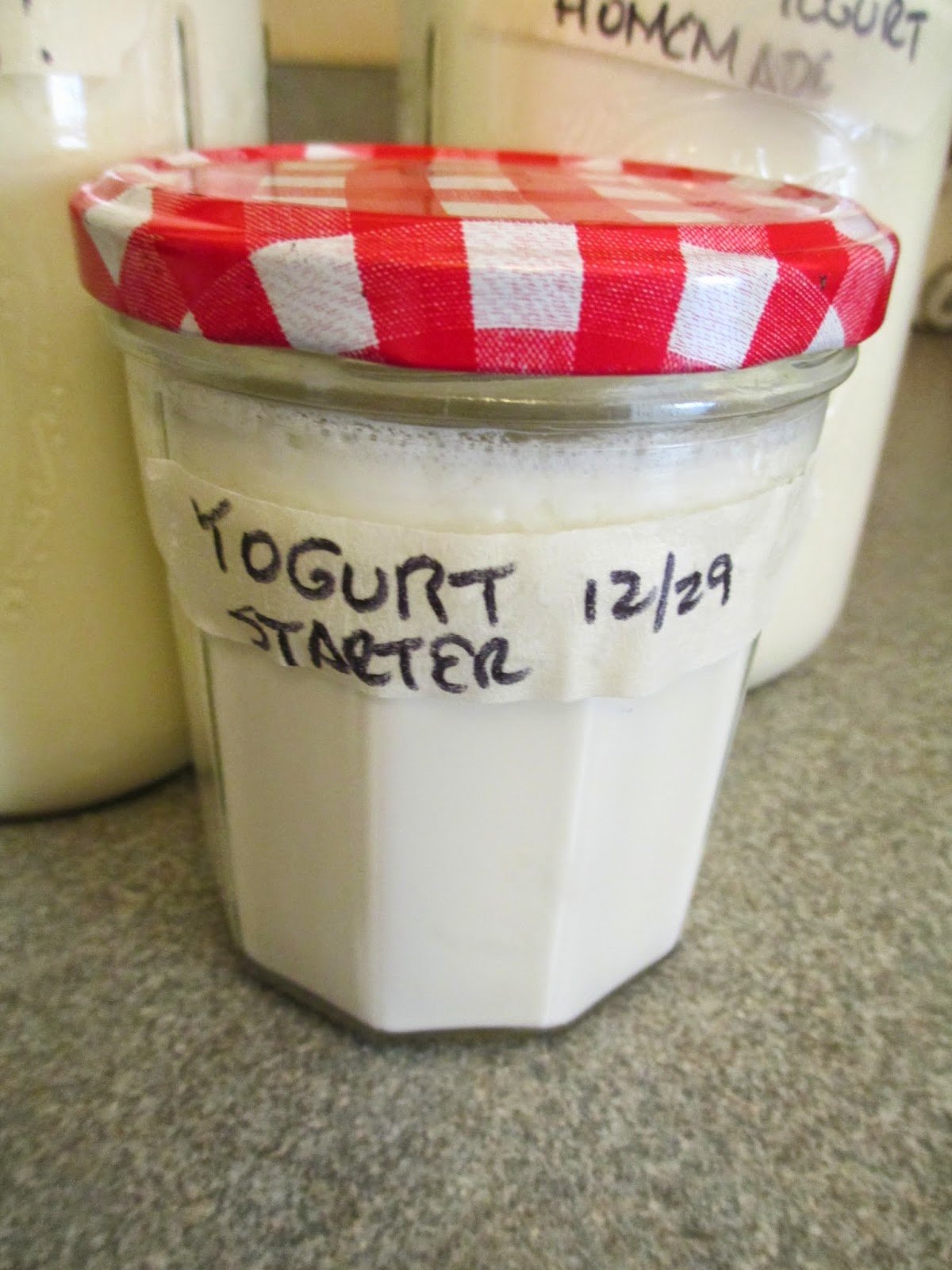 Maple Hill 101 NoFrills Homemade Yogurt
