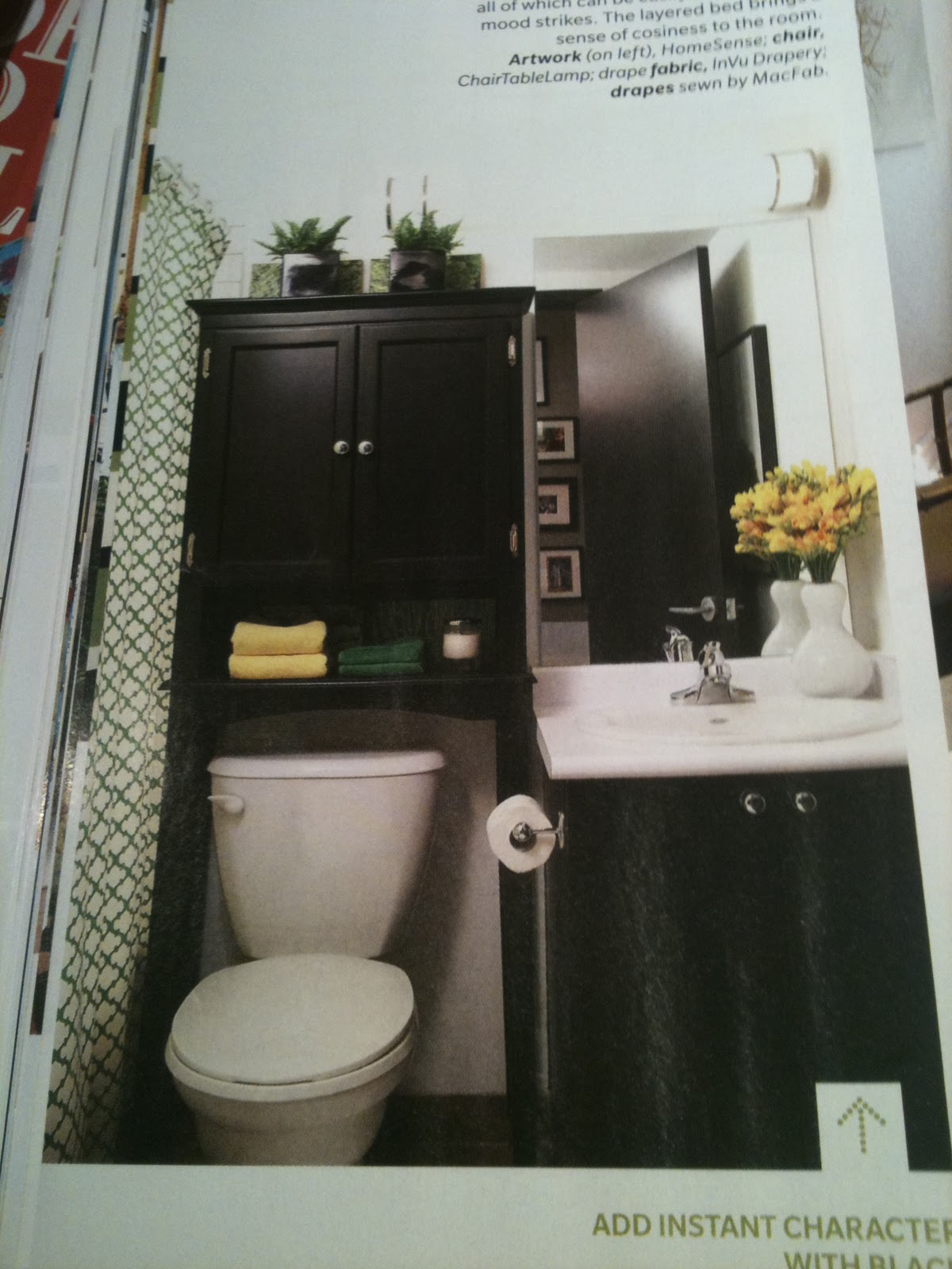 A Classy Act Bathroom