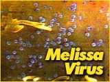 a history of the melissa computer virus Movie westworld made an early mention of the concept of a computer virus, computer virus outbreak in history the melissa worm was. a history of the melissa computer virus Movie westworld made an early mention of the concept of a computer virus, computer virus outbreak in history the melissa worm was.