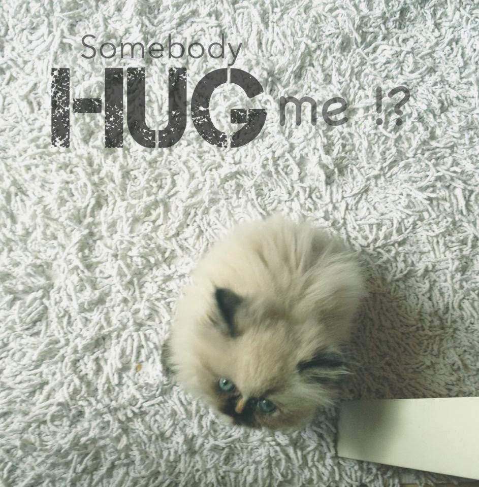 Portakalmavisi Düşler Ocak 2014