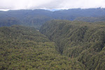 Pristine Batang Toru Forest Block