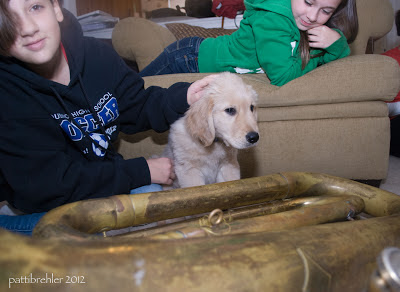 Natalie is to the left and is petting the puppy, who is sitting near the tuba that is on the floor. My other niece, Claire, is sprawled out on the ottoman looking on.