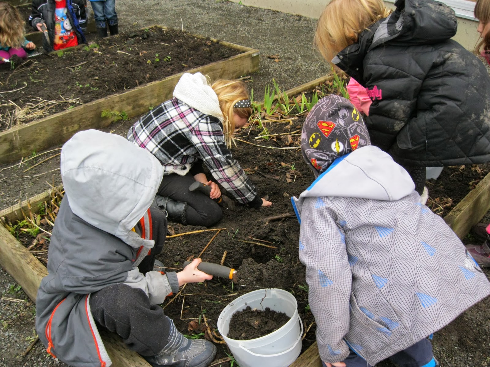 A Kindergarten Adventure in Project Based Learning Scaffolding the