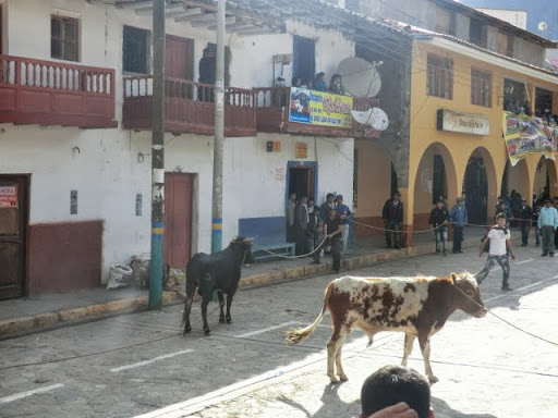 ENTRADAS DE TOROS BRAVOS EN CONCHUCOS