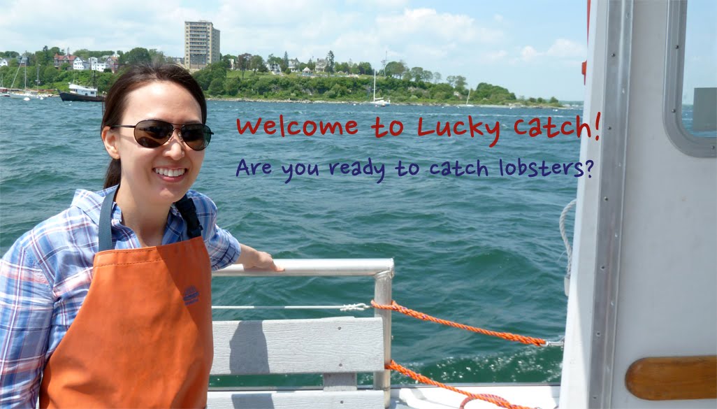 Lobster Experience Portland, Maine Vera's Cookbook