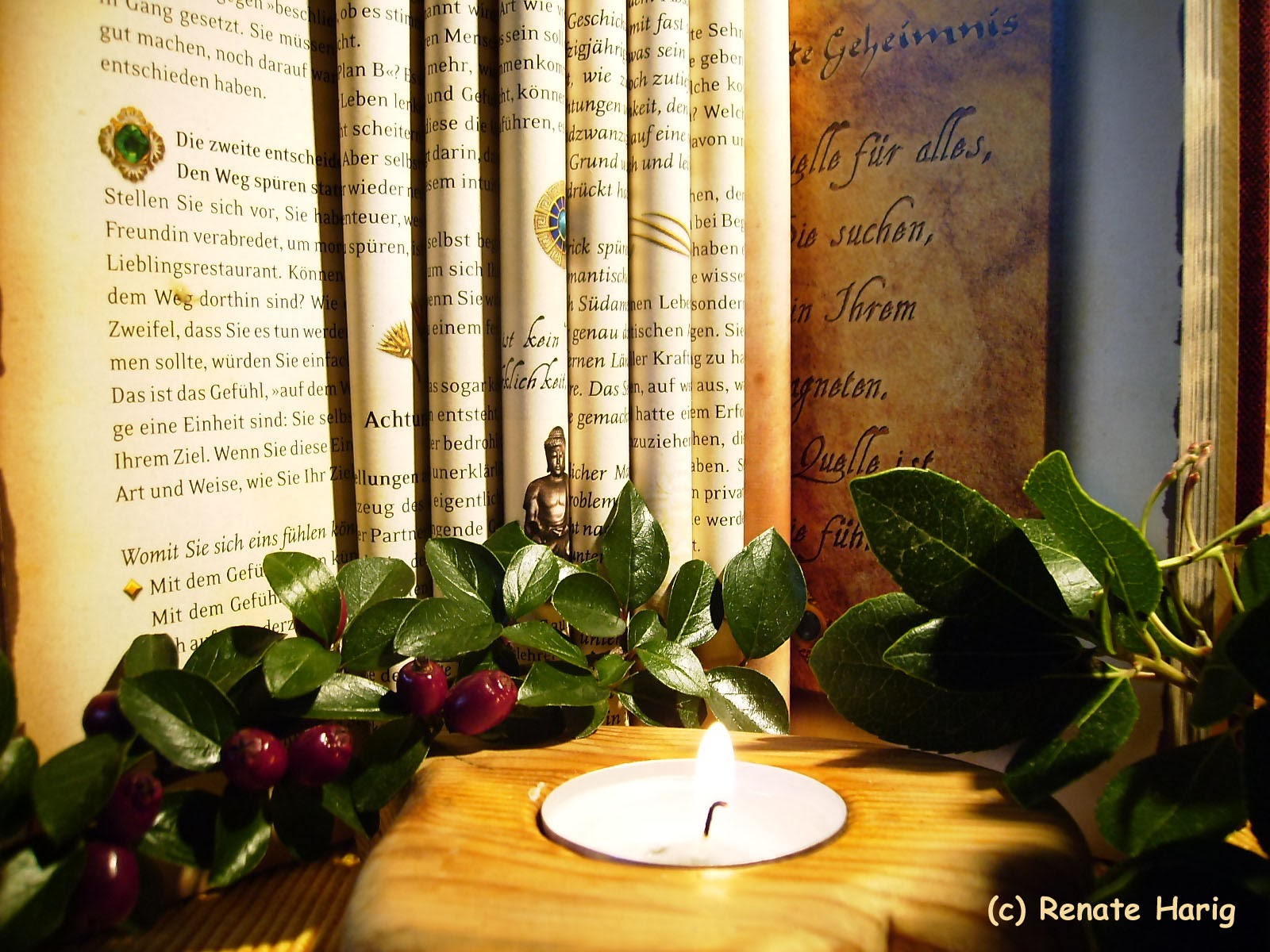 Willkommen In Renates Eckchen