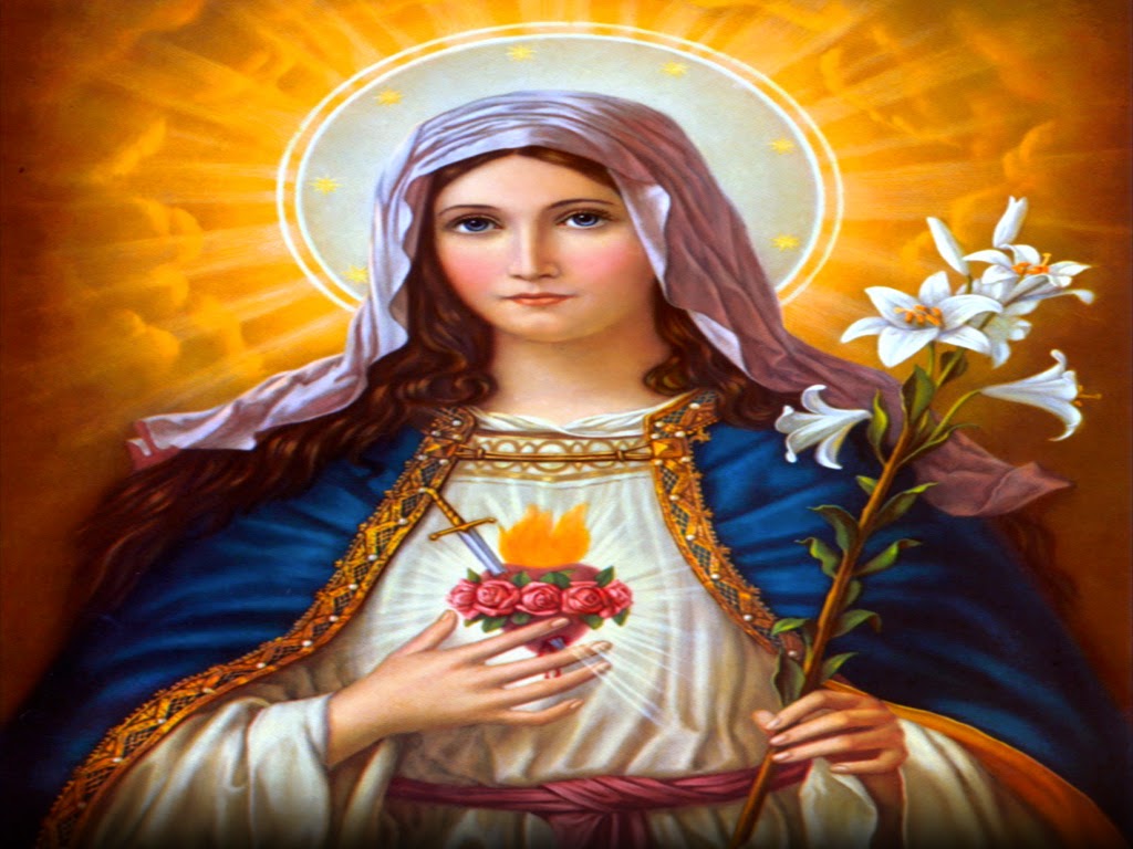 Holy Mass images...: Immaculate Heart of Mary