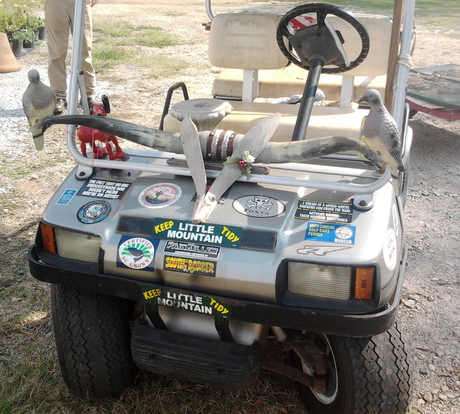 A Golf Cart With Horns & a Cherry Tablecloth Mom and Her Drill
