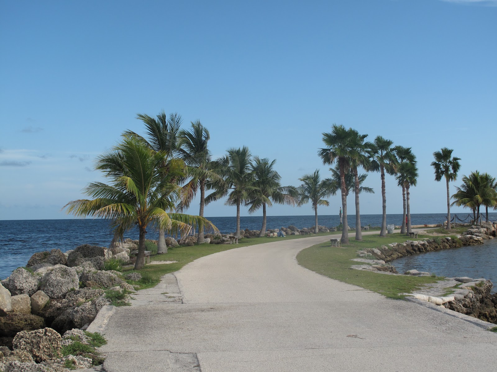 The Parks Department Matheson Hammock Park