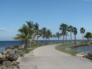 matheson park hammock miami parks dade beach department