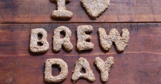 Making Dog Treats From Spent Grain Making Dog Treats From Spent Grain