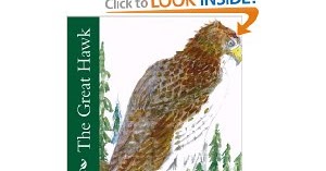 Book Blurb: The Great Hawk 