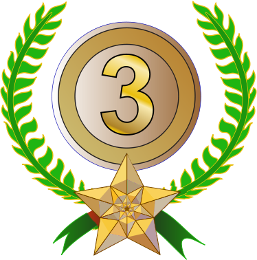 Third Place! How exciting! ~ My Angel's Allergies