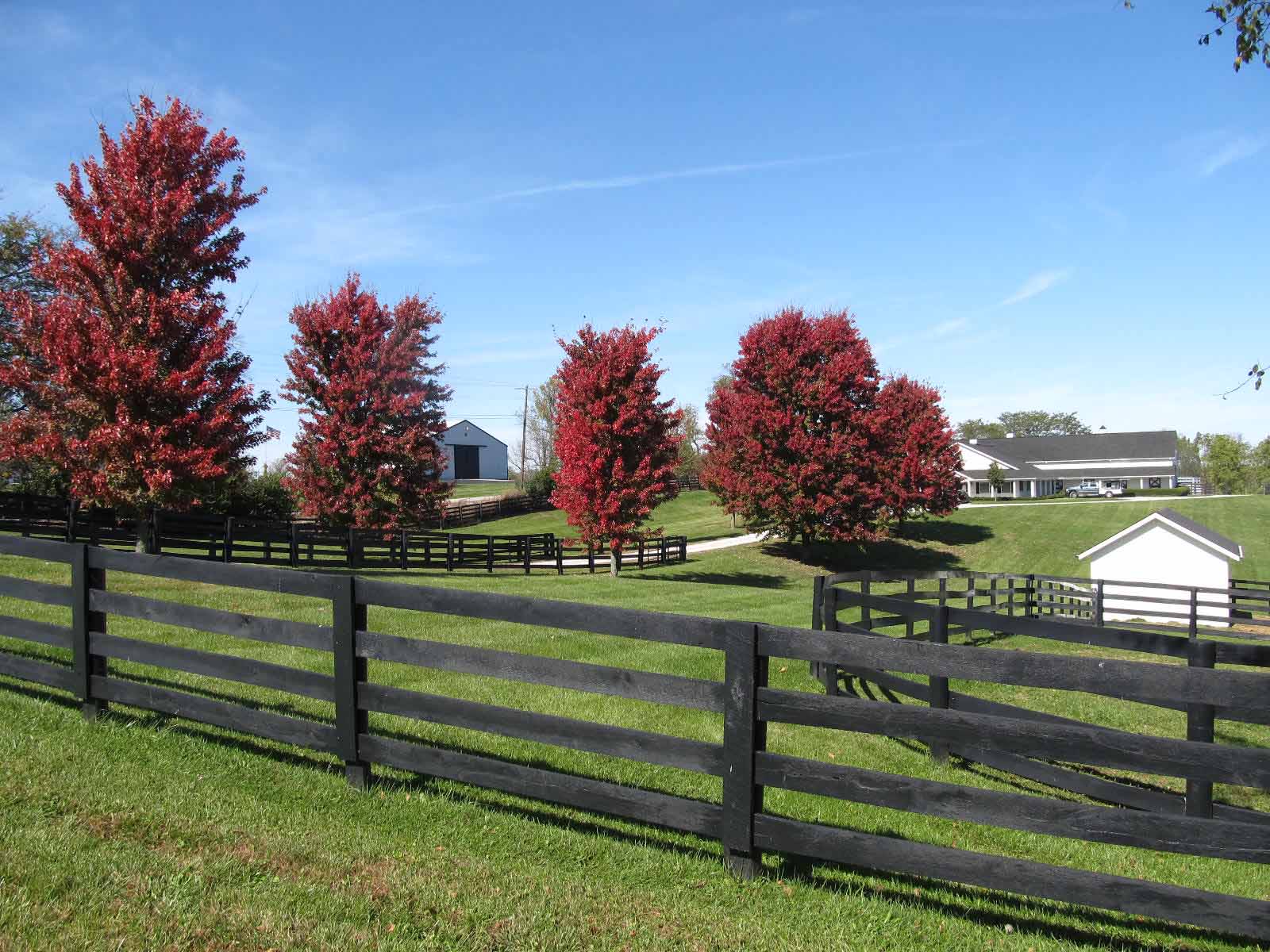 Summit Musings Friday Fences Fall on a Kentucky Horse Farm
