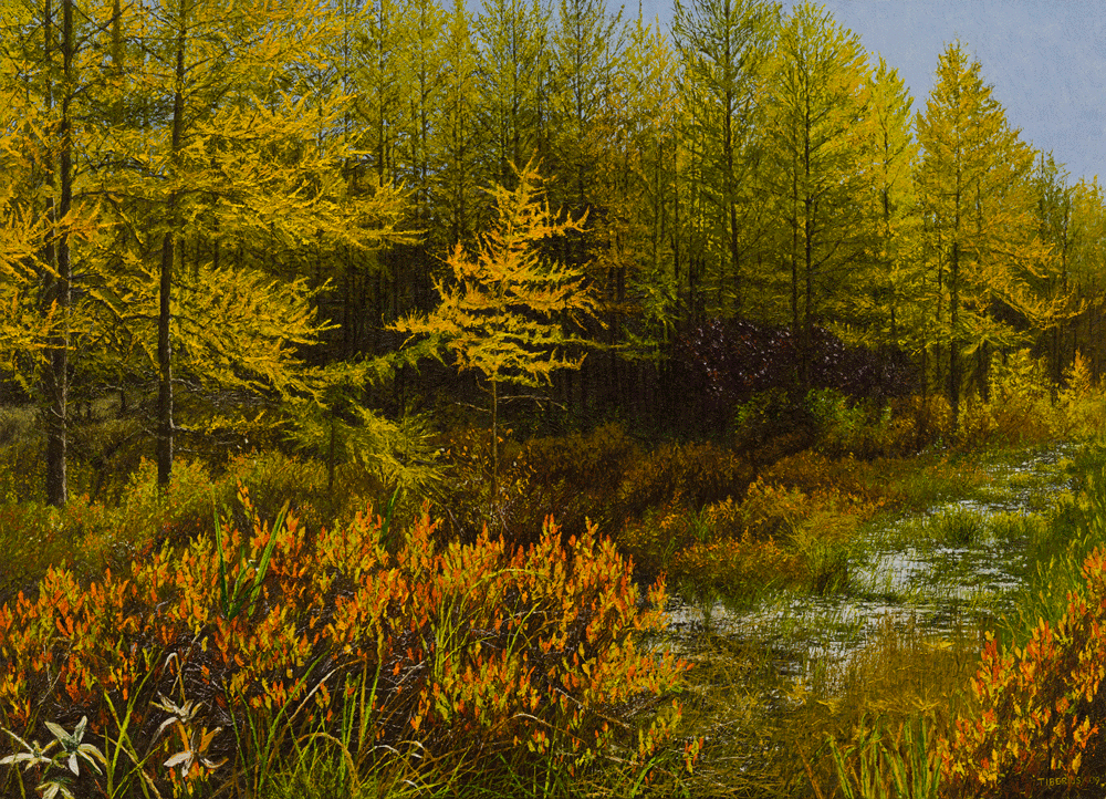 Creators Garden Tamarack