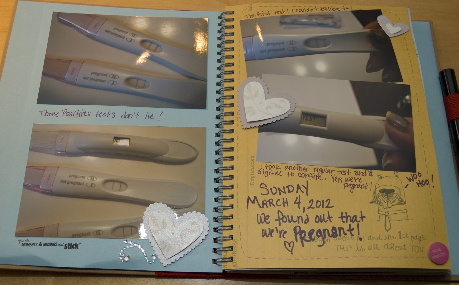 Scrapbook Mojo Smash Pregnancy Journal Part 1