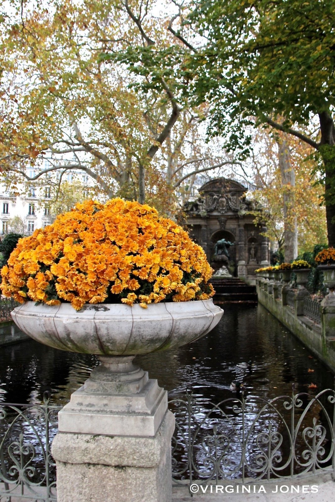 Paris Through My Lens Gilding the Lily