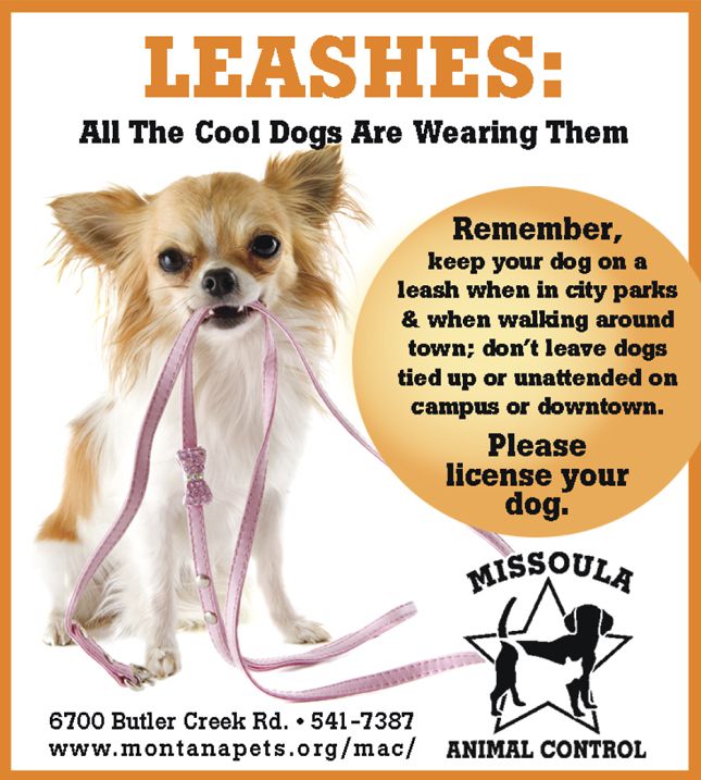 Missoula County Dogs Off Leash Ordinance