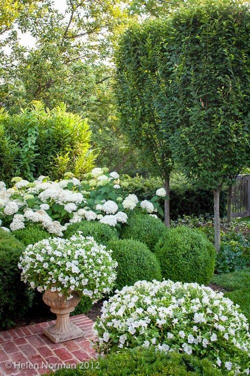 nine sixteen patio garden inspiration white green nine sixteen patio garden inspiration white green