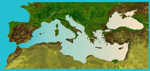 AWMR Italia – Donne della Regione Mediterranea