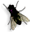 image.gif