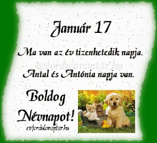 Január 17 - Antónia Január 17 - Antónia névnap