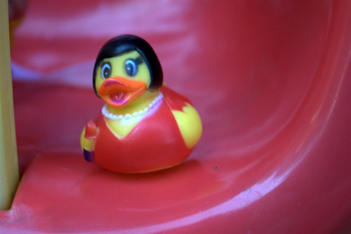 rinco rubber ducks