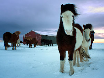 Best Photography Photo 2012 2