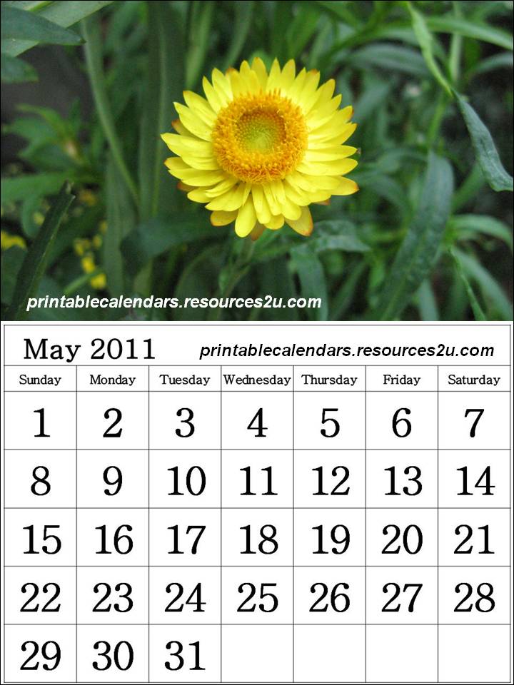 2011 may calendar printable. This simple Calendar 2011 May
