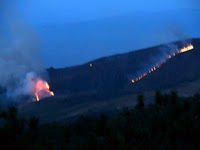 Congresistas condenan incendios forestales en Polo, Barahona