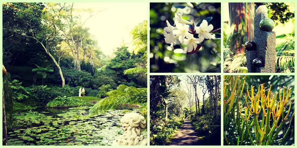 https://www.facebook.com/MakarangaGardenLodge#!/MakarangaGardenLodge/photos_stream