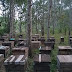 Những Hình ảnh về trại ong
