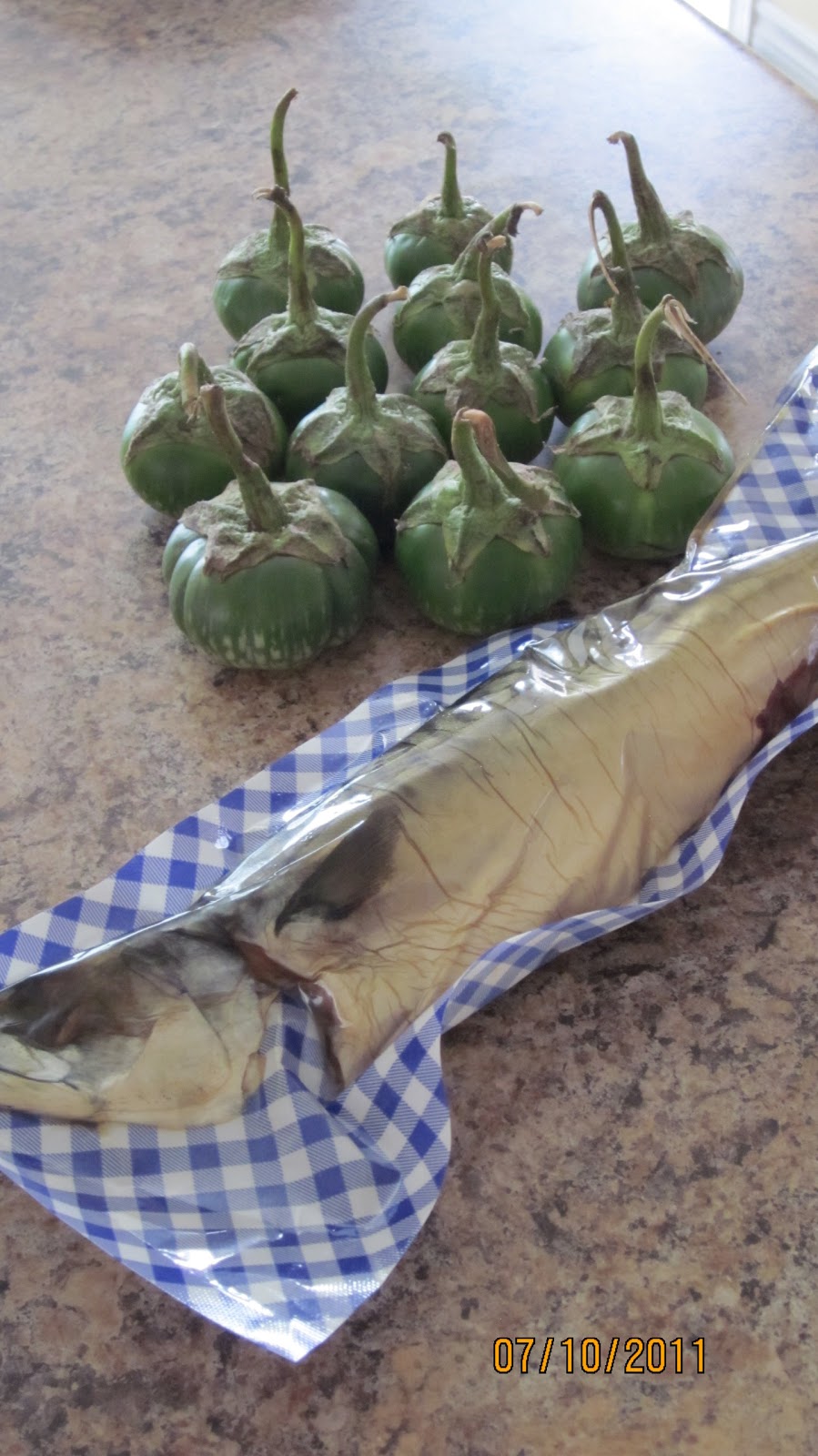 ECV Ontario An African Eggplant Exposition