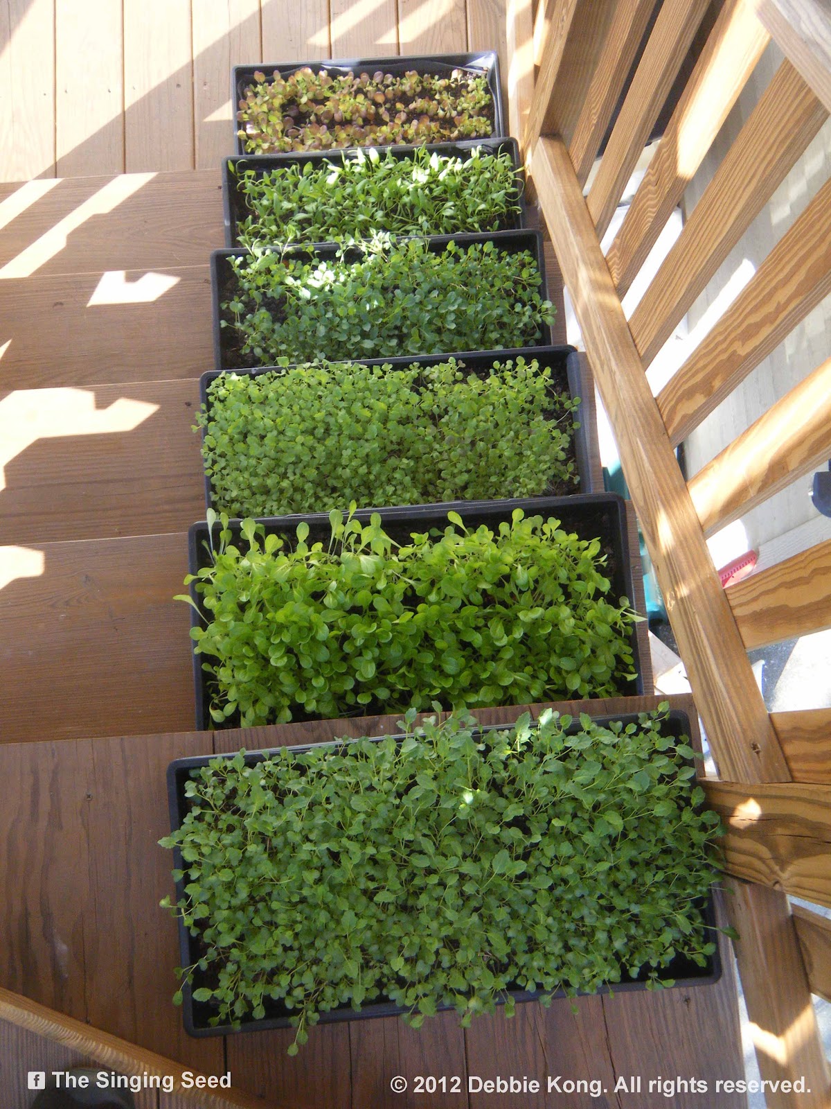 Green Roof Growers Winter Garden Trial