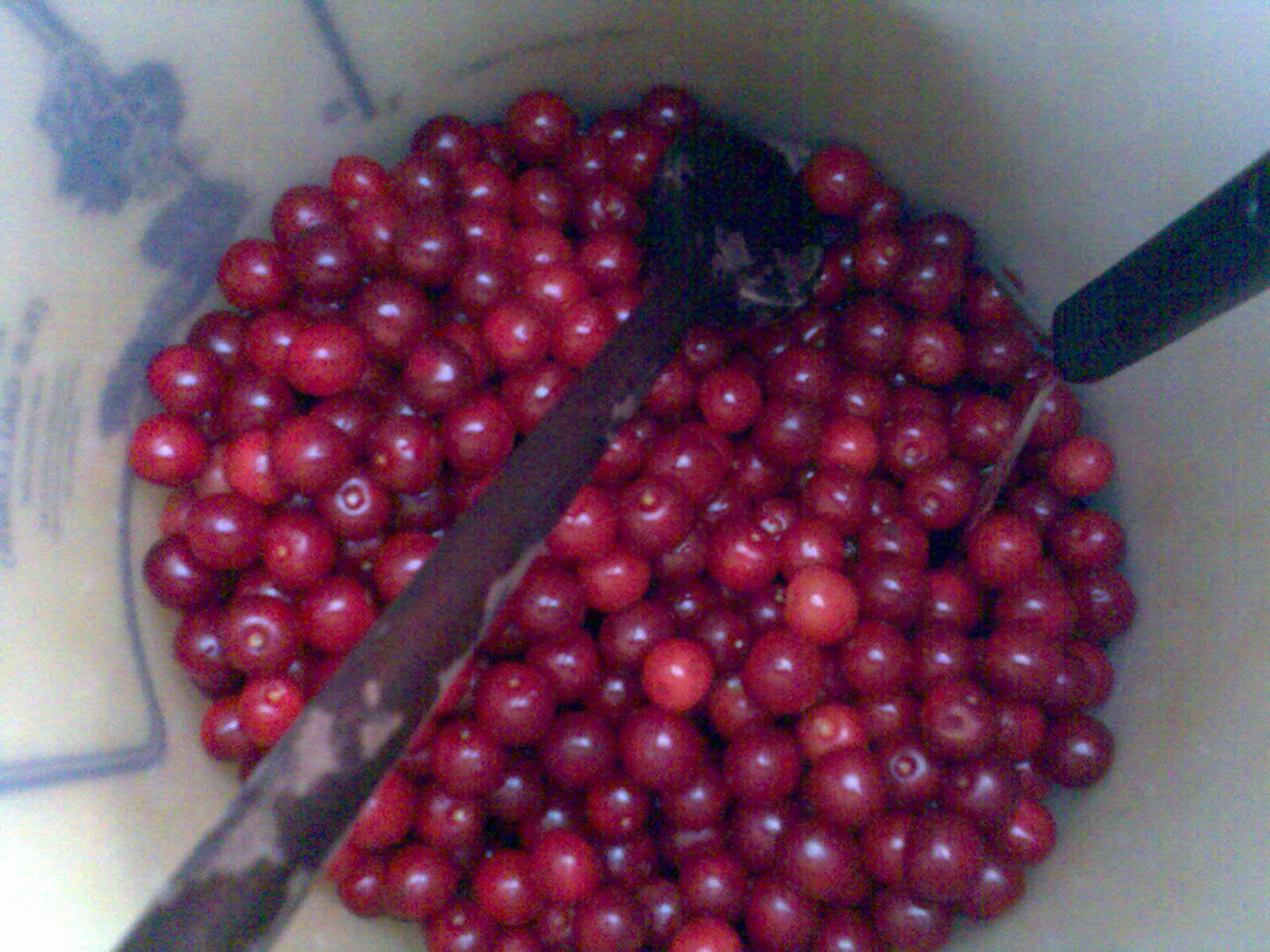 Ben's Adventures in Wine Making Cherry Wine The Making Of