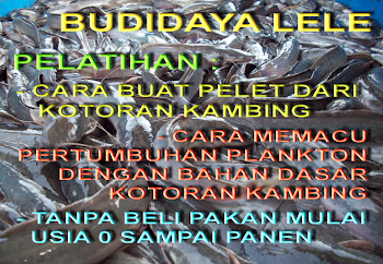 Warsobumengoblogspot Pembuatan Pakan Ternak Fermentasi Dengan Soc Warsobumengoblogspot Pembuatan Pakan Ternak Fermentasi Dengan Soc