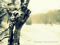 "Snow and Skeletons" by Heenan Photography