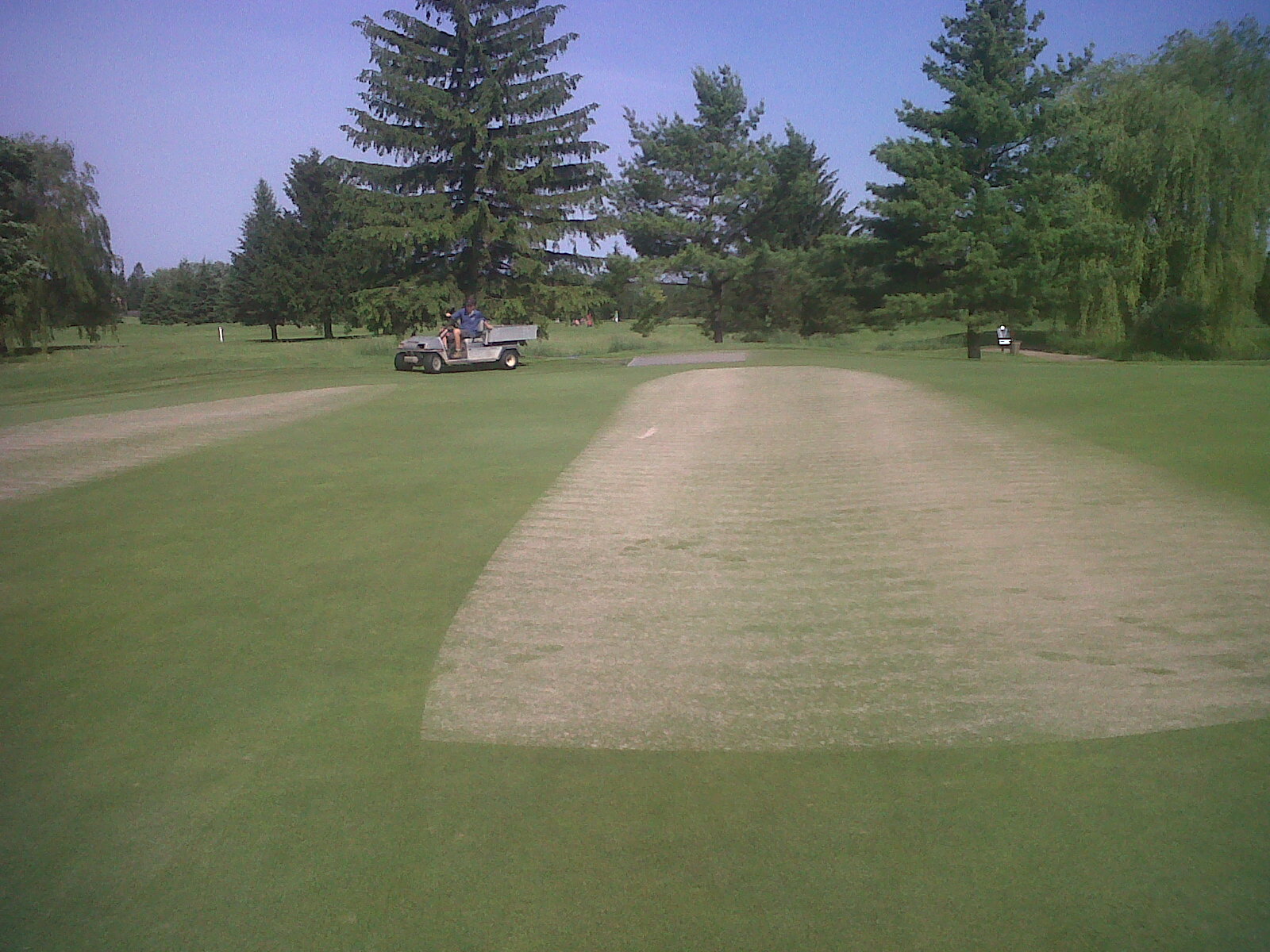 Topdressing Greens Victoria Park Golf