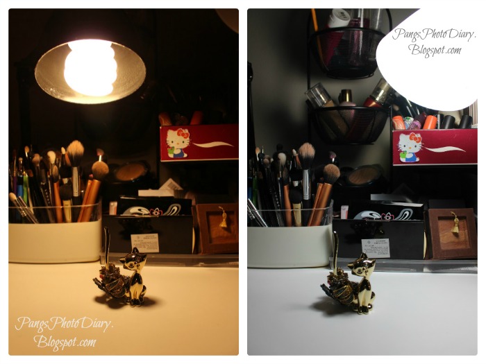 Pang's Photo Diary Choosing the Right Light For Photography Warm