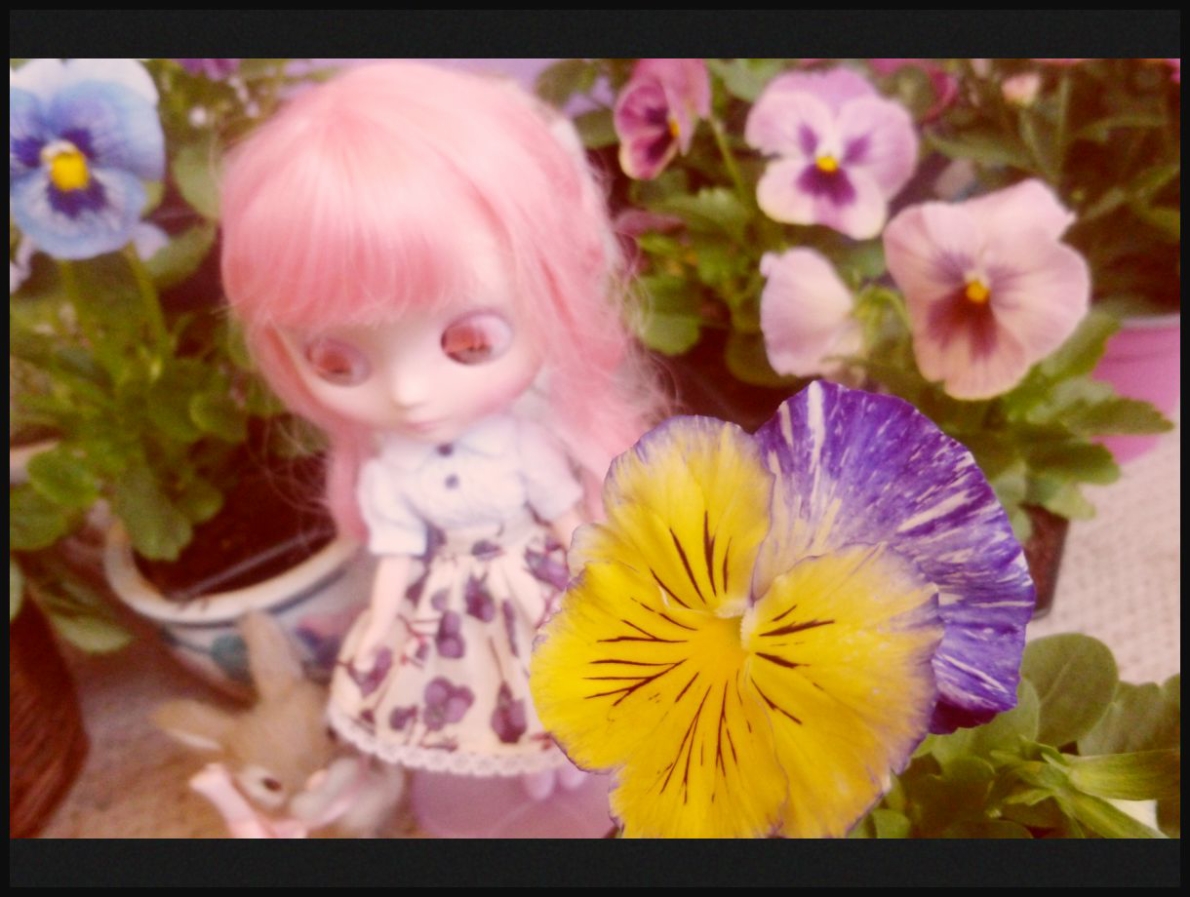 Afficher limage dorigine