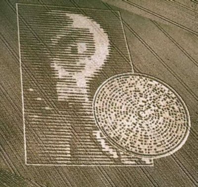 #Misterio en Salta: aparecieron círculos OVNI en campos de trigo#Nuevos Círculos de las Cosechas en 2011 al 2015 - Página 12 Crop+Circle+Winchester+03