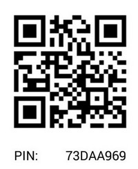 PIN BBM