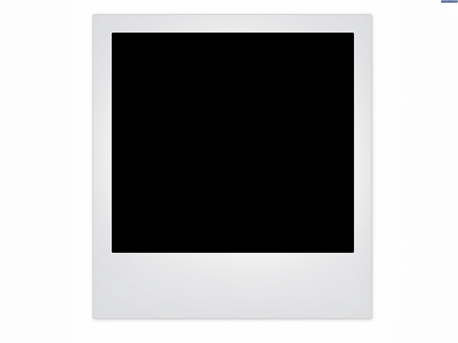 polaroid layout