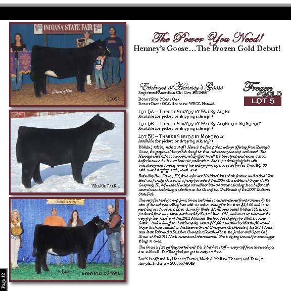 Frozen Gold Sale Ohio Beef Expo March 16 Featured Lots Lautner