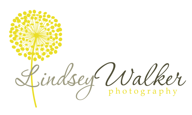 lindsey walker photography