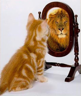 lion-cat.jpg