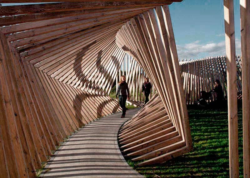Orgánicas estructuras seccionadas en la arquitectura